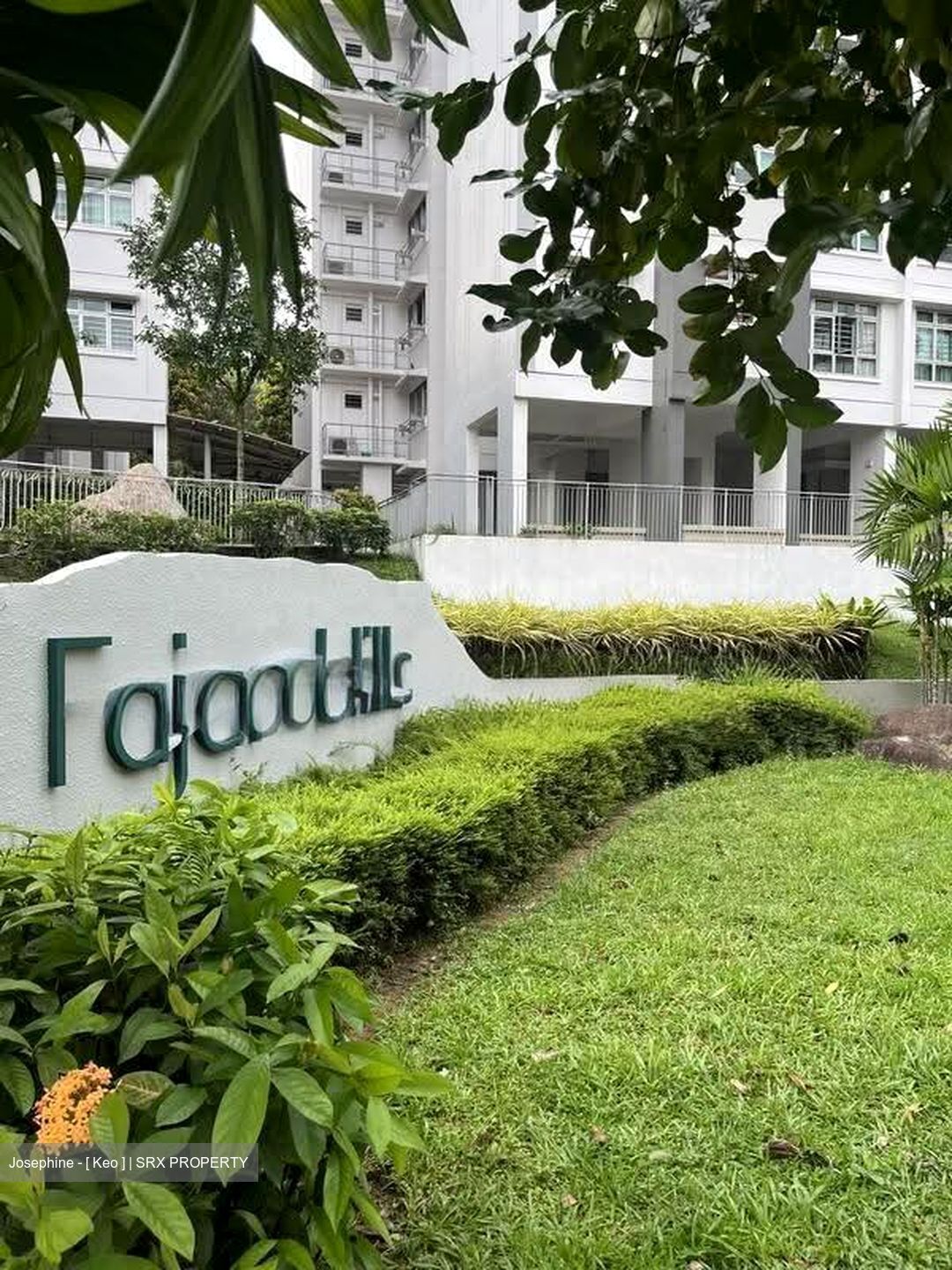 Blk 442B Fajar Hills (Bukit Panjang), HDB 3 Rooms #628657081